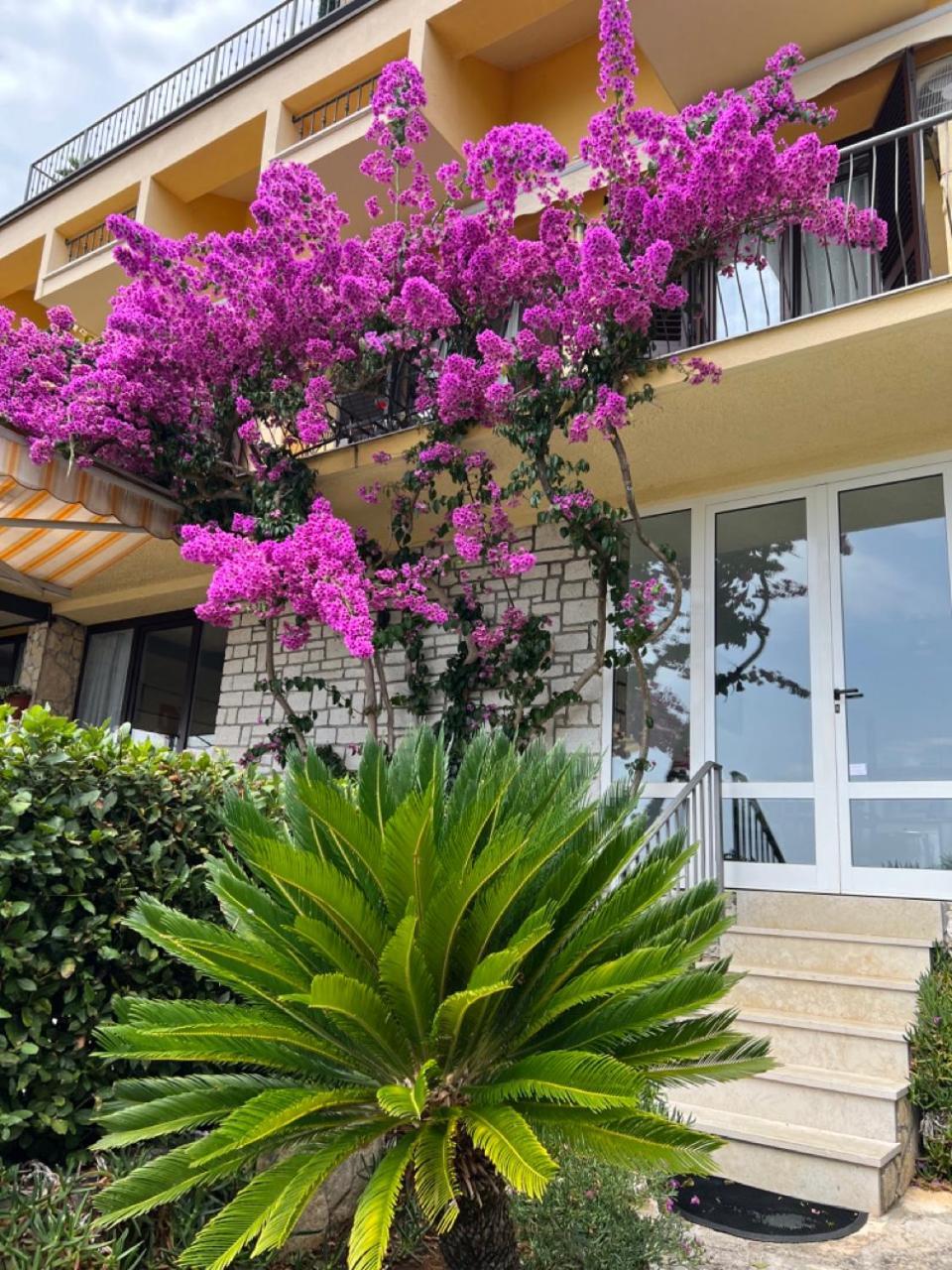 Rooms Figarola Rovinj Dış mekan fotoğraf